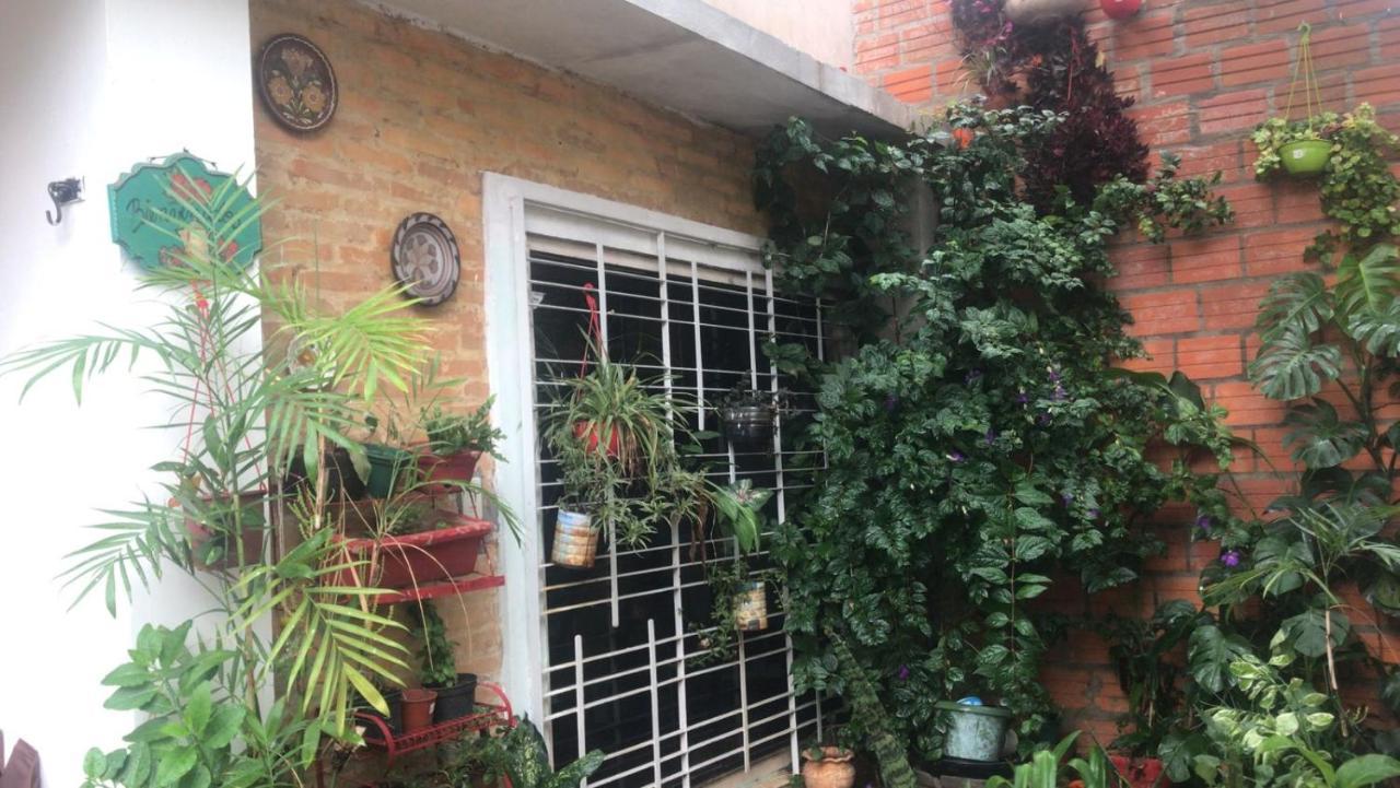 La Petite Maison De Diana Asuncion Extérieur photo