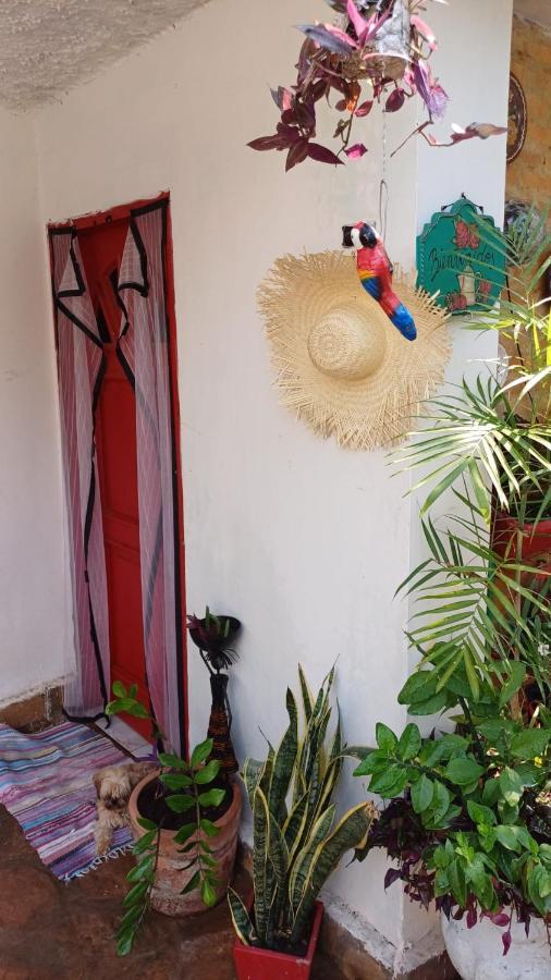 La Petite Maison De Diana Asuncion Extérieur photo