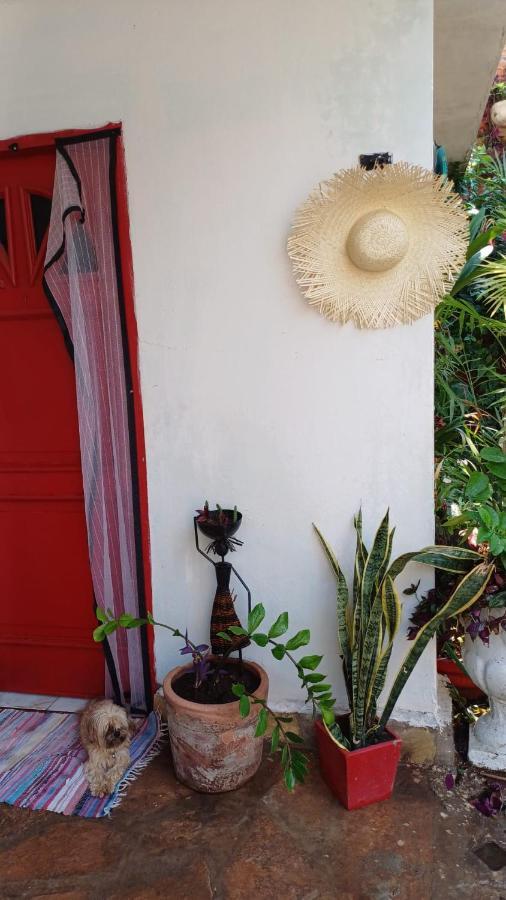 La Petite Maison De Diana Asuncion Extérieur photo