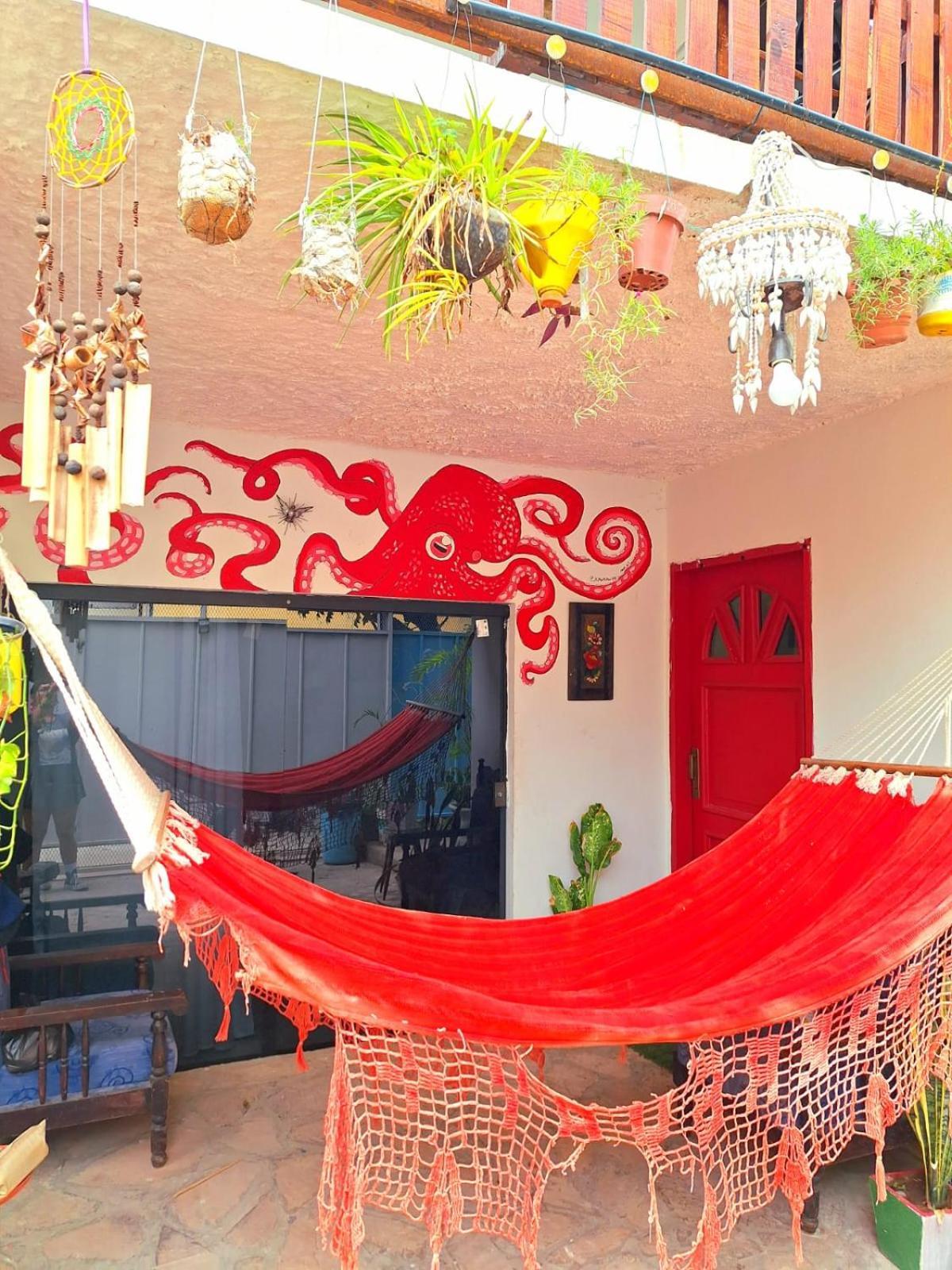 La Petite Maison De Diana Asuncion Extérieur photo