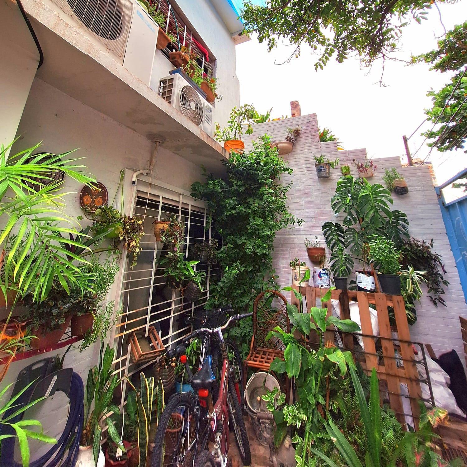 La Petite Maison De Diana Asuncion Extérieur photo