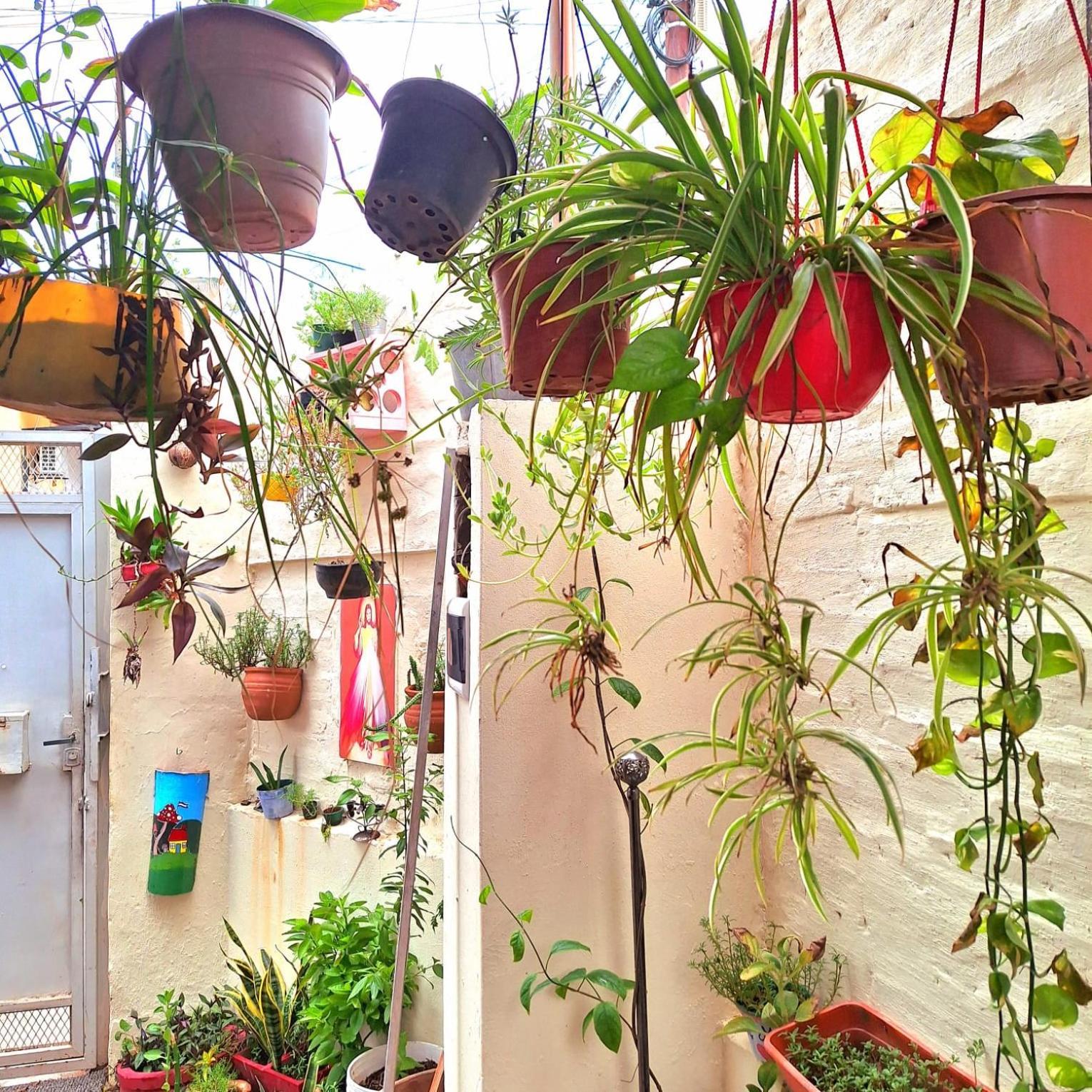La Petite Maison De Diana Asuncion Extérieur photo